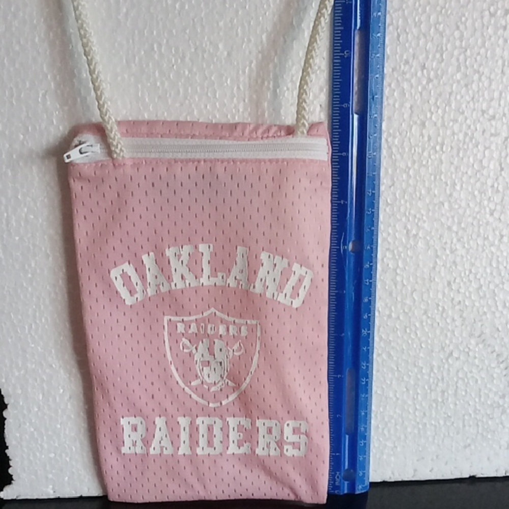 Woman's raiders lightweight bag pink. About 9 inches tall. 5 1/2 with width